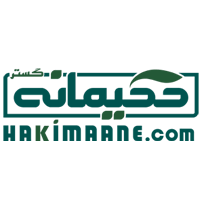 لوگوی حکیمانه گستر
